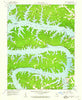 Lake Ozark Missouri Historical topographic map, 1:24000 scale, 7.5 X 7.5 Minute, Year 1959