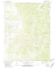 Leadmine Missouri Historical topographic map, 1:24000 scale, 7.5 X 7.5 Minute, Year 1982