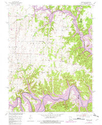 Leesville Missouri Historical topographic map, 1:24000 scale, 7.5 X 7.5 Minute, Year 1953