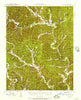 Lesterville Missouri Historical topographic map, 1:62500 scale, 15 X 15 Minute, Year 1943