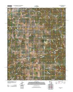 Licking Missouri Historical topographic map, 1:24000 scale, 7.5 X 7.5 Minute, Year 2011