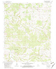 Long Lane Missouri Historical topographic map, 1:24000 scale, 7.5 X 7.5 Minute, Year 1982