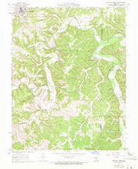 Maramec Spring Missouri Historical topographic map, 1:24000 scale, 7.5 X 7.5 Minute, Year 1963