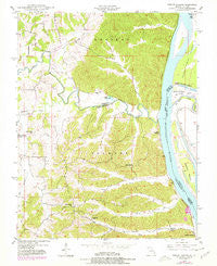 Neelys Landing Missouri Historical topographic map, 1:24000 scale, 7.5 X 7.5 Minute, Year 1948