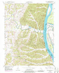 Neelys Landing Missouri Historical topographic map, 1:24000 scale, 7.5 X 7.5 Minute, Year 1948