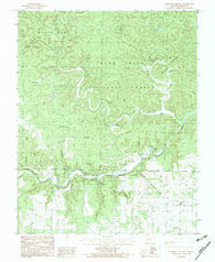 Piedmont Hollow Missouri Historical topographic map, 1:24000 scale, 7.5 X 7.5 Minute, Year 1982