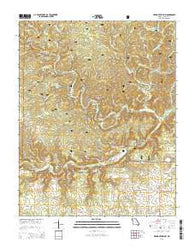 Piedmont Hollow Missouri Current topographic map, 1:24000 scale, 7.5 X 7.5 Minute, Year 2015