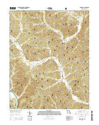 Piedmont SE Missouri Current topographic map, 1:24000 scale, 7.5 X 7.5 Minute, Year 2015