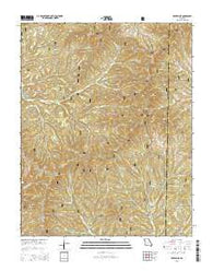Protem NE Missouri Current topographic map, 1:24000 scale, 7.5 X 7.5 Minute, Year 2015