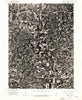 Queen City NW Missouri Historical topographic map, 1:24000 scale, 7.5 X 7.5 Minute, Year 1974