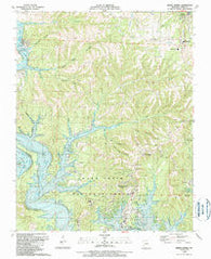 Reeds Spring Missouri Historical topographic map, 1:24000 scale, 7.5 X 7.5 Minute, Year 1989
