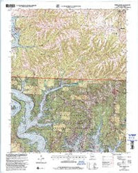 Reeds Spring Missouri Historical topographic map, 1:24000 scale, 7.5 X 7.5 Minute, Year 1999