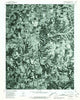 Rogersville Missouri Historical topographic map, 1:24000 scale, 7.5 X 7.5 Minute, Year 1979