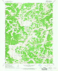 Rosebud Missouri Historical topographic map, 1:24000 scale, 7.5 X 7.5 Minute, Year 1965