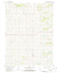 Skidmore NW Missouri Historical topographic map, 1:24000 scale, 7.5 X 7.5 Minute, Year 1981