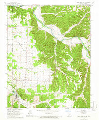 South West City Missouri Historical topographic map, 1:24000 scale, 7.5 X 7.5 Minute, Year 1965