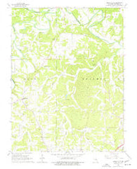 Spring Bluff Missouri Historical topographic map, 1:24000 scale, 7.5 X 7.5 Minute, Year 1966