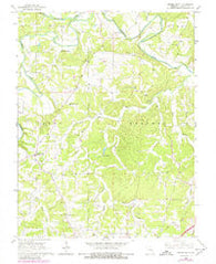 Spring Bluff Missouri Historical topographic map, 1:24000 scale, 7.5 X 7.5 Minute, Year 1966