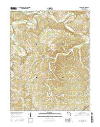Spring Bluff Missouri Current topographic map, 1:24000 scale, 7.5 X 7.5 Minute, Year 2015