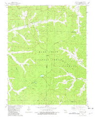 Stone Hill Missouri Historical topographic map, 1:24000 scale, 7.5 X 7.5 Minute, Year 1981