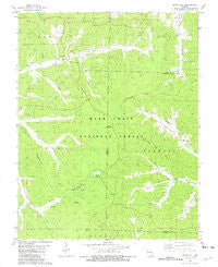 Stone Hill Missouri Historical topographic map, 1:24000 scale, 7.5 X 7.5 Minute, Year 1981