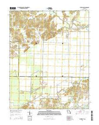 Sturdivant Missouri Current topographic map, 1:24000 scale, 7.5 X 7.5 Minute, Year 2015