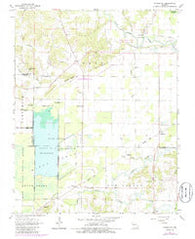 Sturdivant Missouri Historical topographic map, 1:24000 scale, 7.5 X 7.5 Minute, Year 1963