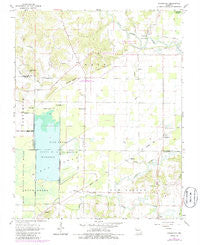 Sturdivant Missouri Historical topographic map, 1:24000 scale, 7.5 X 7.5 Minute, Year 1963