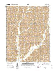 Tarkio SE Missouri Current topographic map, 1:24000 scale, 7.5 X 7.5 Minute, Year 2014