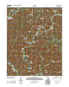 The Sinks Missouri Historical topographic map, 1:24000 scale, 7.5 X 7.5 Minute, Year 2011