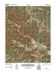 Thomasville Missouri Historical topographic map, 1:24000 scale, 7.5 X 7.5 Minute, Year 2011