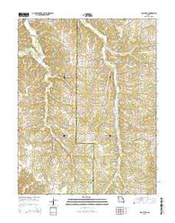 Van Cleve Missouri Current topographic map, 1:24000 scale, 7.5 X 7.5 Minute, Year 2015