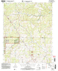Wasola Missouri Historical topographic map, 1:24000 scale, 7.5 X 7.5 Minute, Year 2004