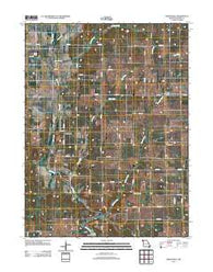 Whitesville Missouri Historical topographic map, 1:24000 scale, 7.5 X 7.5 Minute, Year 2011