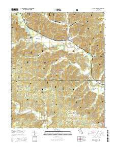 Williamsville Missouri Current topographic map, 1:24000 scale, 7.5 X 7.5 Minute, Year 2015