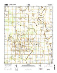 Arcola Mississippi Current topographic map, 1:24000 scale, 7.5 X 7.5 Minute, Year 2015
