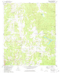 Bagley Lake Mississippi Historical topographic map, 1:24000 scale, 7.5 X 7.5 Minute, Year 1980