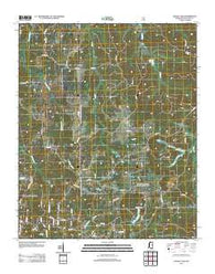 Bagley Lake Mississippi Historical topographic map, 1:24000 scale, 7.5 X 7.5 Minute, Year 2012