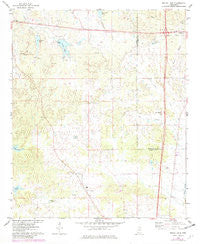 Bailey Lake Mississippi Historical topographic map, 1:24000 scale, 7.5 X 7.5 Minute, Year 1975