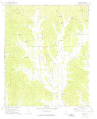 Banner Mississippi Historical topographic map, 1:24000 scale, 7.5 X 7.5 Minute, Year 1972