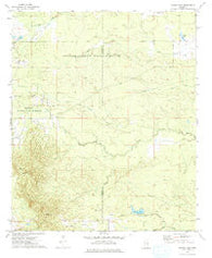 Barge Lake Mississippi Historical topographic map, 1:24000 scale, 7.5 X 7.5 Minute, Year 1973