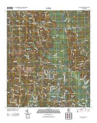 Barrontown Mississippi Historical topographic map, 1:24000 scale, 7.5 X 7.5 Minute, Year 2012