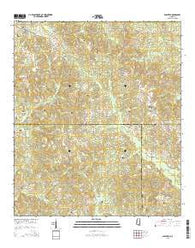 Bassfield Mississippi Current topographic map, 1:24000 scale, 7.5 X 7.5 Minute, Year 2015