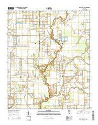 Bear Gut Bayou Mississippi Current topographic map, 1:24000 scale, 7.5 X 7.5 Minute, Year 2015