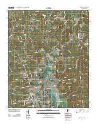 Belmont Mississippi Historical topographic map, 1:24000 scale, 7.5 X 7.5 Minute, Year 2012