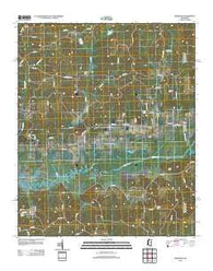 Benwood Mississippi Historical topographic map, 1:24000 scale, 7.5 X 7.5 Minute, Year 2012