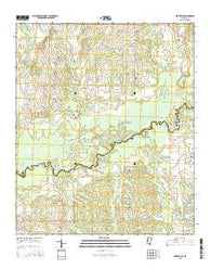Berryville Mississippi Current topographic map, 1:24000 scale, 7.5 X 7.5 Minute, Year 2015