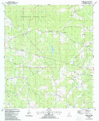 Bewelcome Mississippi Historical topographic map, 1:24000 scale, 7.5 X 7.5 Minute, Year 1988