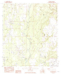 Big Point Mississippi Historical topographic map, 1:24000 scale, 7.5 X 7.5 Minute, Year 1982