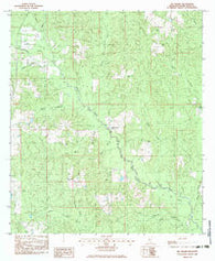 Big Swamp Mississippi Historical topographic map, 1:24000 scale, 7.5 X 7.5 Minute, Year 1983